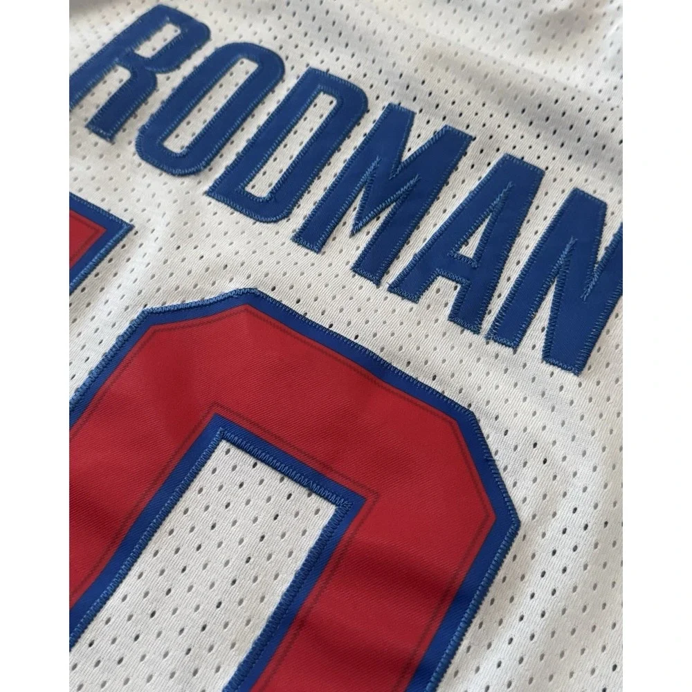 Dennis Rodman #10 Detroit Pistons Adidas Hardwood Classics Jersey Men's L